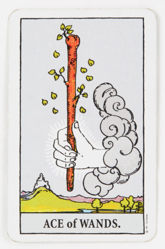 ACE of WANDS